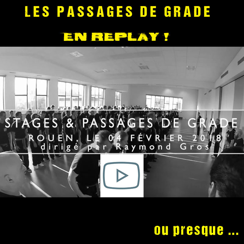 video krav maga rouen fev 2018