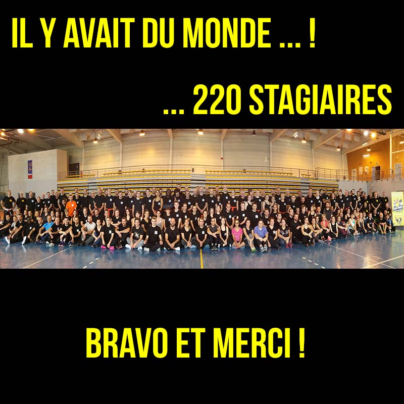 stage krav maga rouen nov 2017