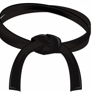 ceinture noire